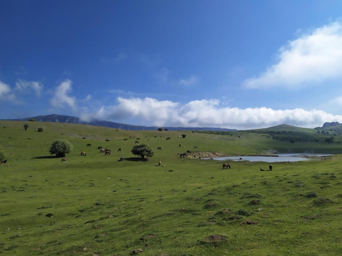 Casa Rural Ulibarri Allo Exteriér fotografie